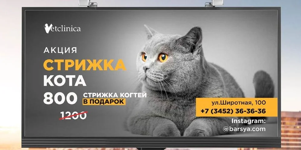 Реклама стрижки котов