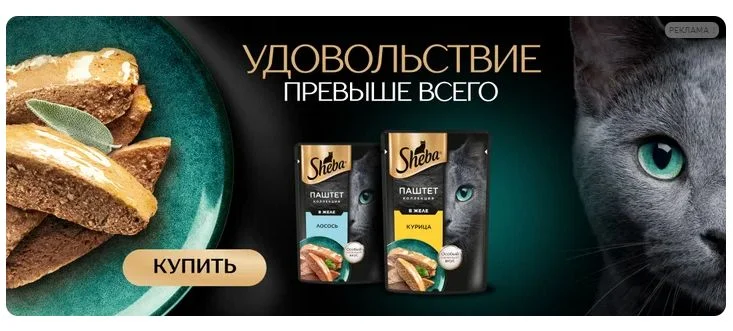 Реклама кошачьего корма