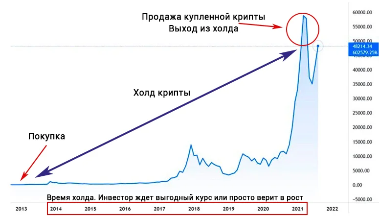 Иллюстрация стратегии HODL — покупка и долгосрочное удержание криптовалюты до момента выгодной продажи