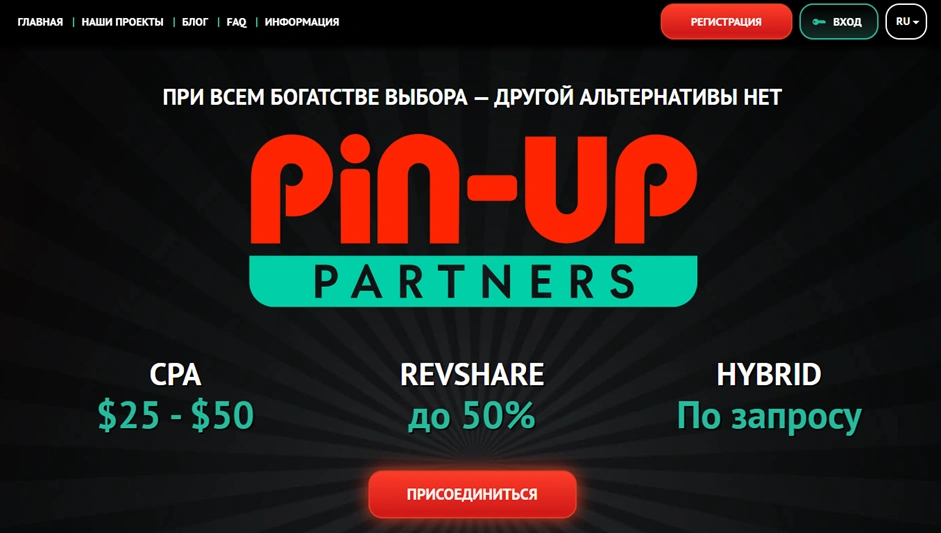 Интерфейс PIN-UP Partners