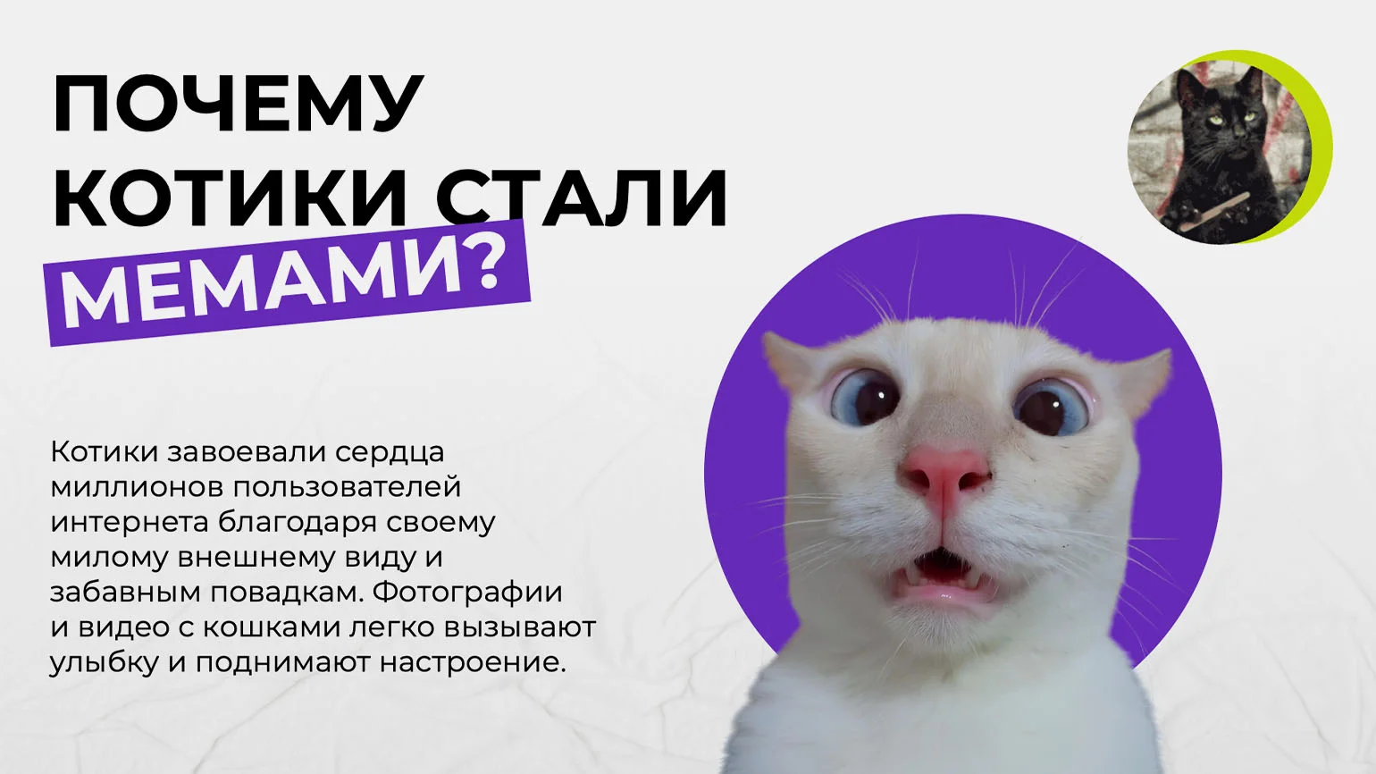 Слайды презентации в минималистичном стиле